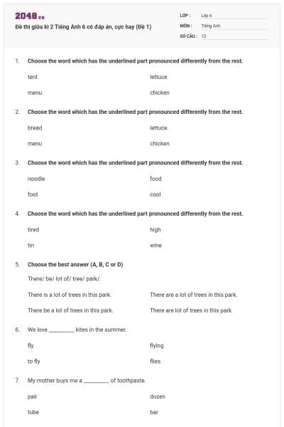 Đề thi giữa kì 2 Tiếng Anh 6 có đáp án, cực hay (Đề 1)