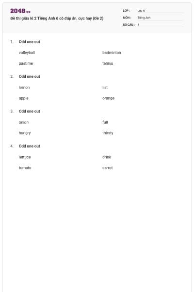 Đề thi giữa kì 2 Tiếng Anh 6 có đáp án, cực hay (Đề 2)