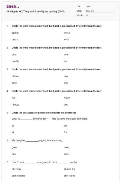 Đề thi giữa kì 2 Tiếng Anh 6 có đáp án, cực hay (Đề 3)