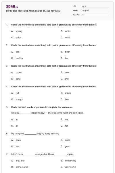 Đề thi giữa kì 2 Tiếng Anh 6 có đáp án, cực hay (Đề 3)
