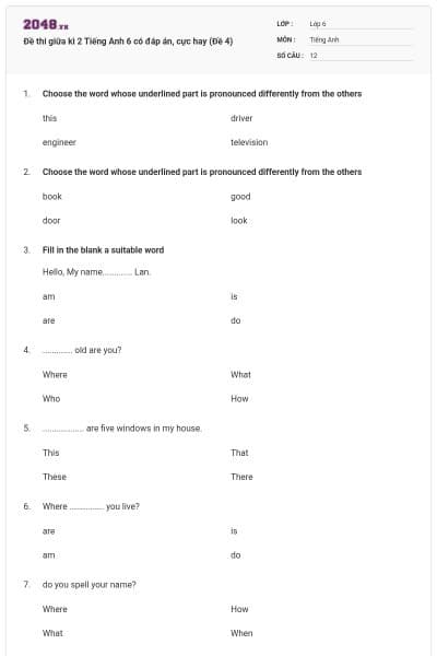 Đề thi giữa kì 2 Tiếng Anh 6 có đáp án, cực hay (Đề 4)