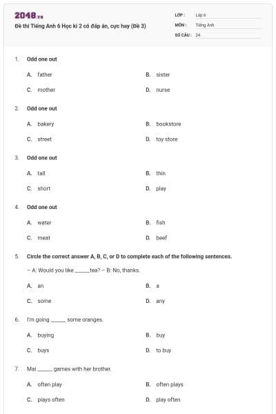 Đề thi Tiếng Anh 6 Học kì 2 có đáp án, cực hay (Đề 3)