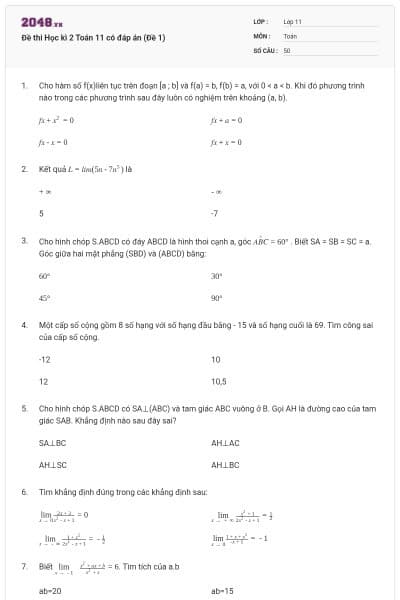 Đề thi Học kì 2 Toán 11 có đáp án (Đề 1)