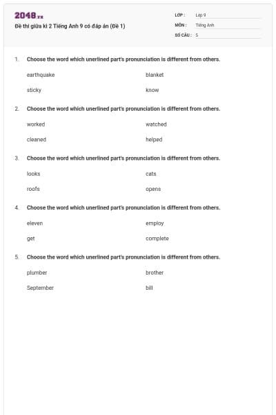 Đề thi giữa kì 2 Tiếng Anh 9 có đáp án (Đề 1)