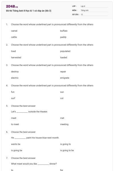 Đề thi Tiếng Anh 8 Học kì 1 có đáp án (Đề 3)