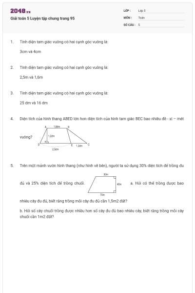 Giải toán 5 Luyện tập chung trang 95