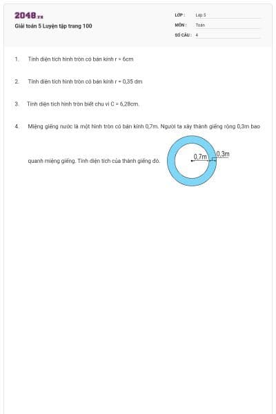 Giải toán 5 Luyện tập trang 100