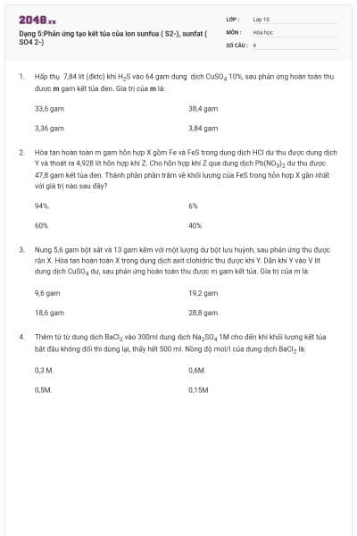 Dạng 5:Phản ứng tạo kết tủa của ion sunfua ( S2-), sunfat ( SO4 2-)