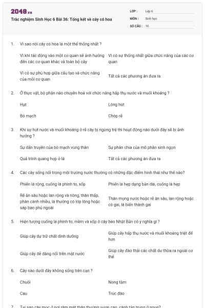 Trắc nghiệm Sinh Học 6 Bài 36: Tổng kết về cây có hoa