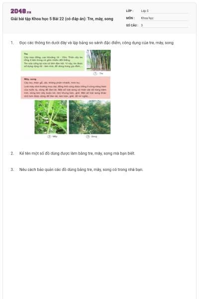Giải bài tập Khoa học 5 Bài 22 (có đáp án): Tre, mây, song
