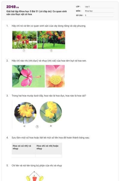 Giải bài tập Khoa học 5 Bài 51 (có đáp án): Cơ quan sinh sản của thực vật có hoa