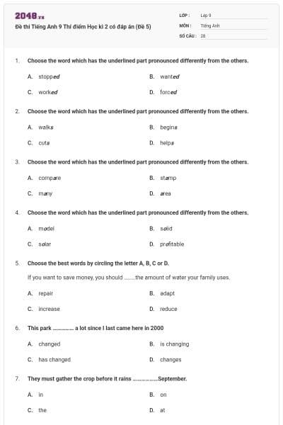 Đề thi Tiếng Anh 9 Thí điểm Học kì 2 có đáp án (Đề 5)