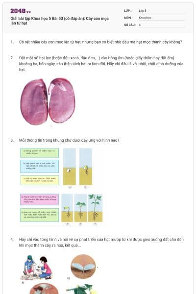 Giải bài tập Khoa học 5 Bài 53 (có đáp án): Cây con mọc lên từ hạt