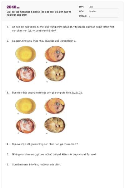 Giải bài tập Khoa học 5 Bài 58 (có đáp án): Sự sinh sản và nuôi con của chim