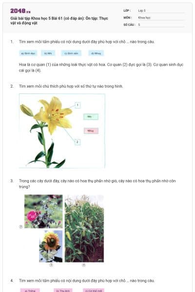 Giải bài tập Khoa học 5 Bài 61 (có đáp án): Ôn tập: Thực vật và động vật