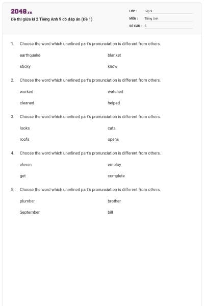 Đề thi giữa kì 2 Tiếng Anh 9 có đáp án (Đề 1)