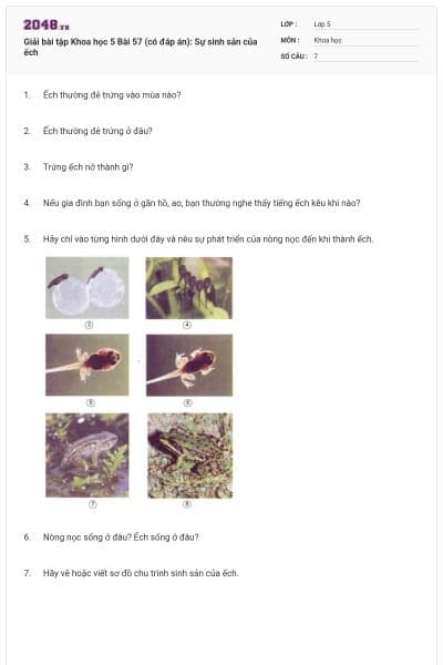 Giải bài tập Khoa học 5 Bài 57 (có đáp án): Sự sinh sản của ếch