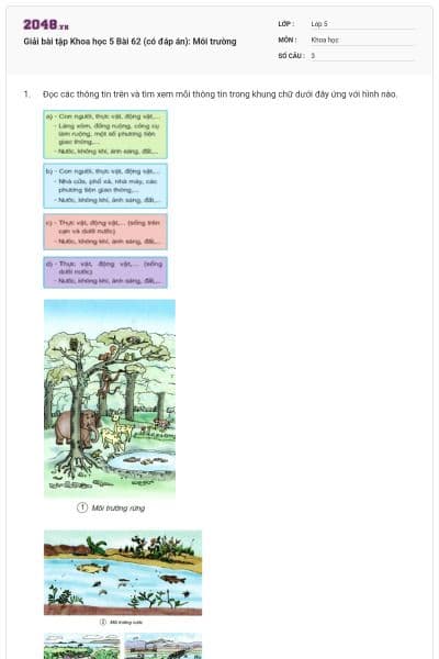 Giải bài tập Khoa học 5 Bài 62 (có đáp án): Môi trường