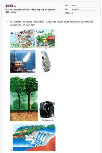 Giải bài tập Khoa học 5 Bài 63 (có đáp án): Tài nguyên thiên nhiên