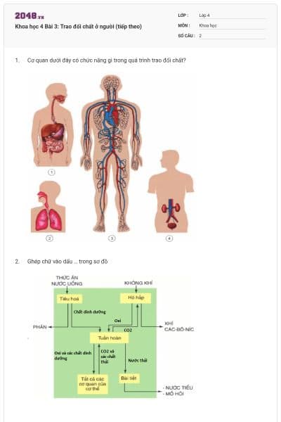 Khoa học 4 Bài 3: Trao đổi chất ở người (tiếp theo)