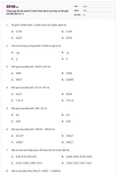Tổng hợp đề thi cuối kì I môn Toán lớp 5 cực hay, có lời giải chi tiết (Đề số 1)