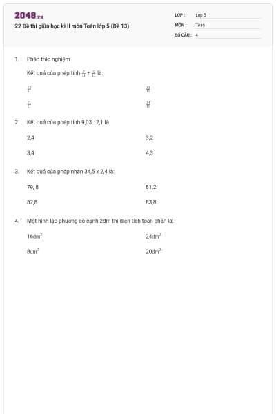 22 Đề thi giữa học kì II môn Toán lớp 5 (Đề 13)
