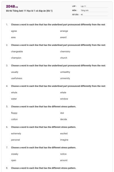 Đề thi Tiếng Anh 11 Học kì 1 có đáp án (Đề 1)