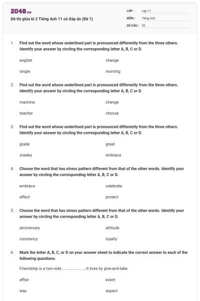 Đề thi giữa kì 2 Tiếng Anh 11 có đáp án (Đề 1)