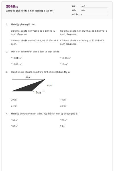 22 Đề thi giữa học kì II môn Toán lớp 5 (Đề 19)