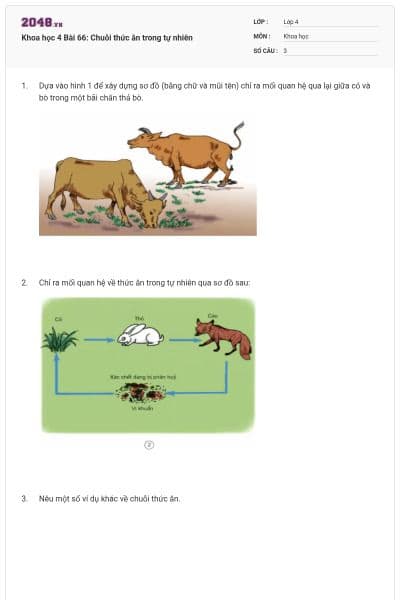 Khoa học 4 Bài 66: Chuỗi thức ăn trong tự nhiên