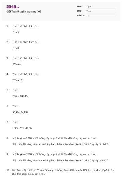 Giải Toán 5 Luyện tập trang 165