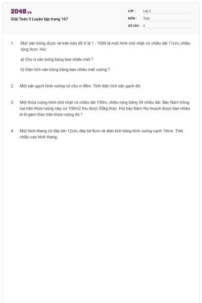 Giải Toán 5 Luyện tập trang 167