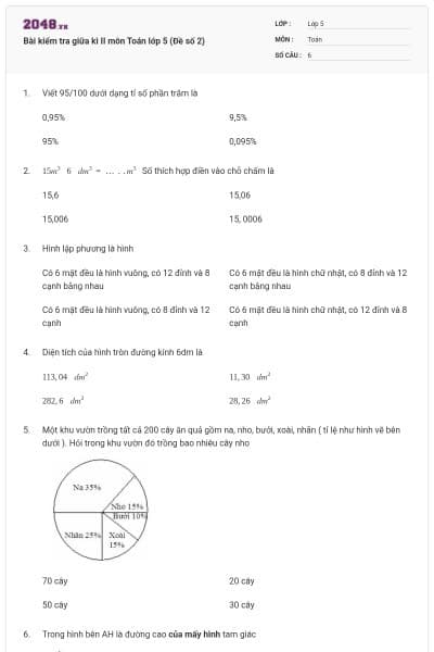 Bài kiểm tra giữa kì II môn Toán lớp 5 (Đề số 2)