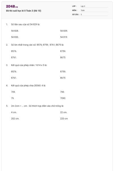 Đề thi cuối học kì II Toán 3 (Đề 10)