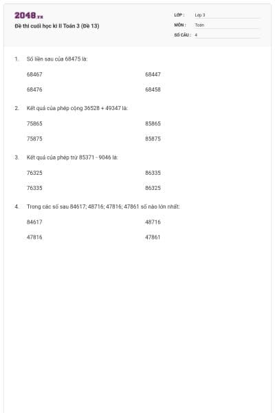 Đề thi cuối học kì II Toán 3 (Đề 13)
