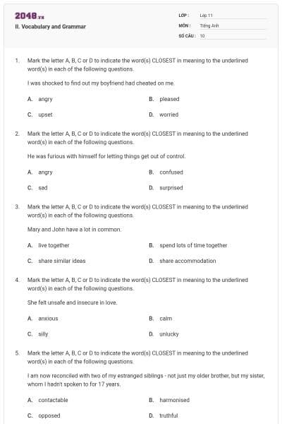 II. Vocabulary and Grammar