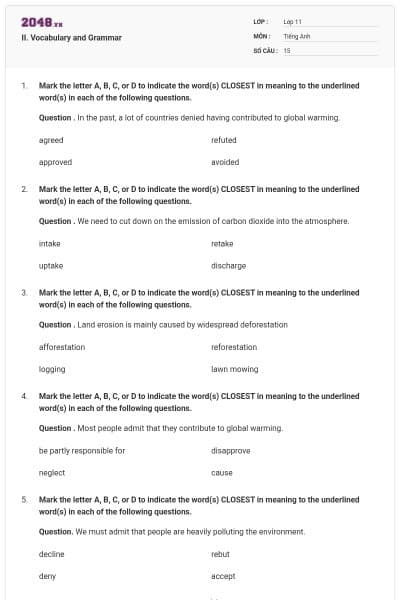 II. Vocabulary and Grammar