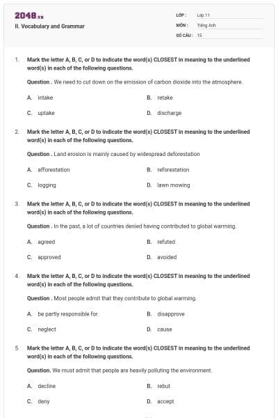 II. Vocabulary and Grammar
