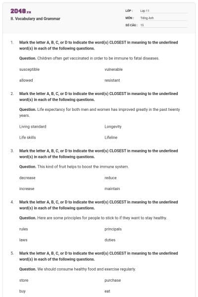 II. Vocabulary and Grammar