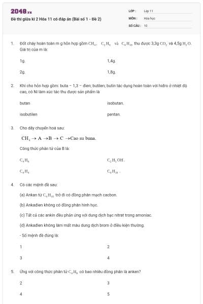 Đề thi giữa kì 2 Hóa 11 có đáp án (Bài số 1 - Đề 2)