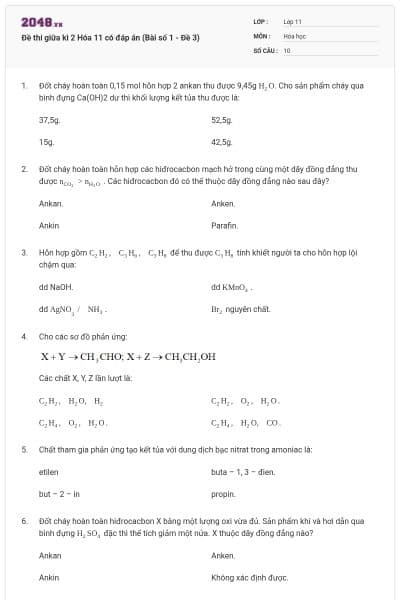 Đề thi giữa kì 2 Hóa 11 có đáp án (Bài số 1 - Đề 3)
