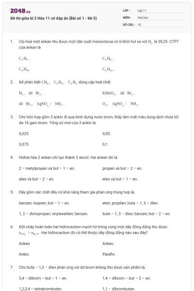 Đề thi giữa kì 2 Hóa 11 có đáp án (Bài số 1 - Đề 5)