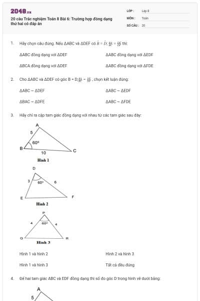 20 câu Trắc nghiệm Toán 8 Bài 6: Trường hợp đồng dạng thứ hai có đáp án