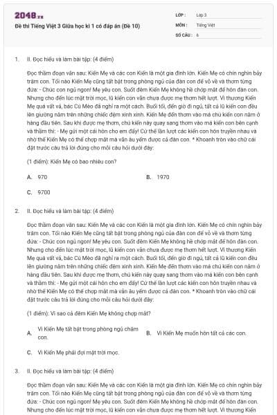 Đề thi Tiếng Việt 3 Giữa học kì 1 có đáp án (Đề 10)