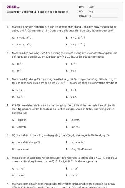 Đề kiểm tra 15 phút Vật Lí 11 Học kì 2 có đáp án (Đề 1)