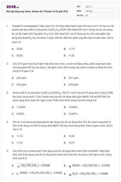 Bài tập tổng hợp Amin, Amino Ait, Protein có lời giải (P2)