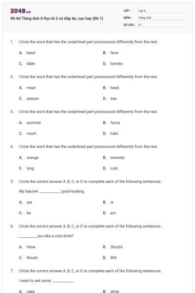 Đề thi Tiếng Anh 6 Học kì 2 có đáp án, cực hay (Đề 1)