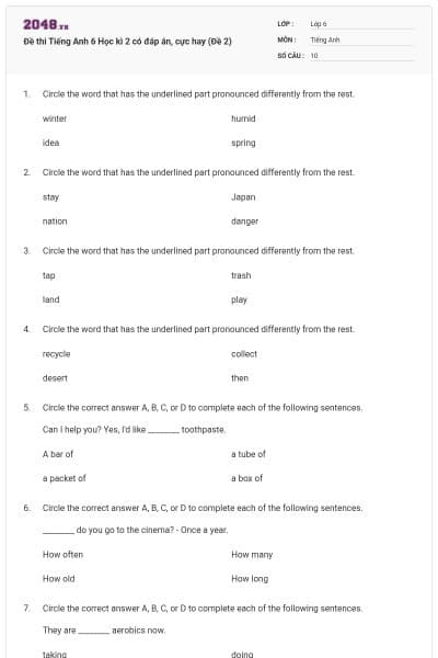 Đề thi Tiếng Anh 6 Học kì 2 có đáp án, cực hay (Đề 2)