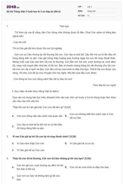 Đề thi Tiếng Việt 3 Cuối học kì 2 có đáp án (Đề 6)