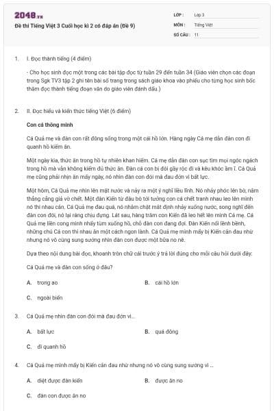 Đề thi Tiếng Việt 3 Cuối học kì 2 có đáp án (Đề 9)